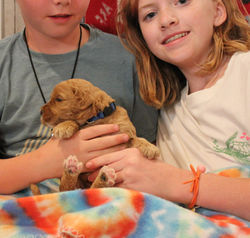 grand kids and puppies are great!