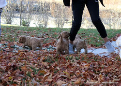 Playing with friends