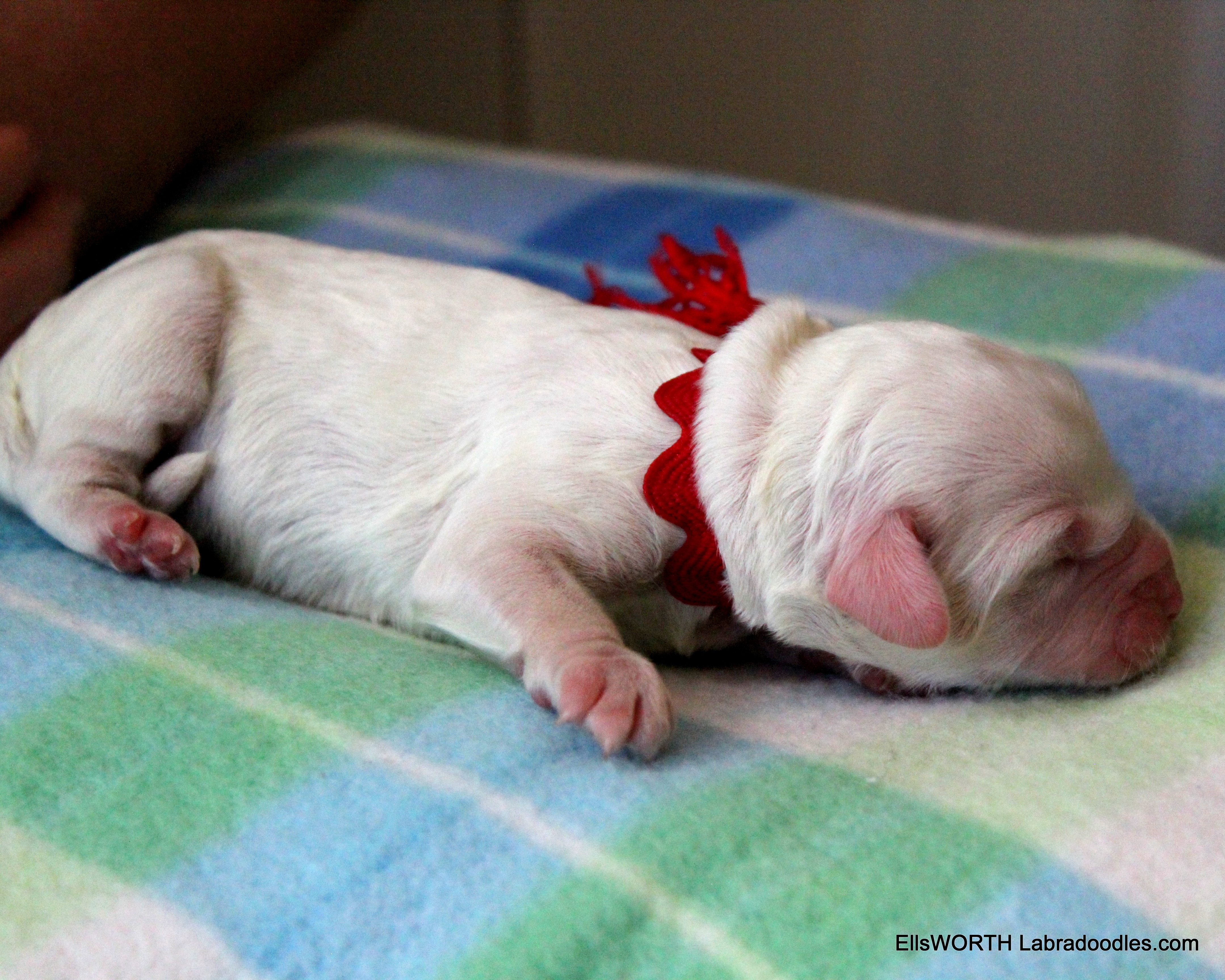She has some brown spots
