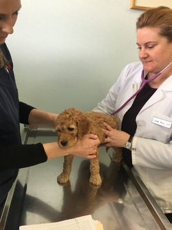 stomach and hips look good