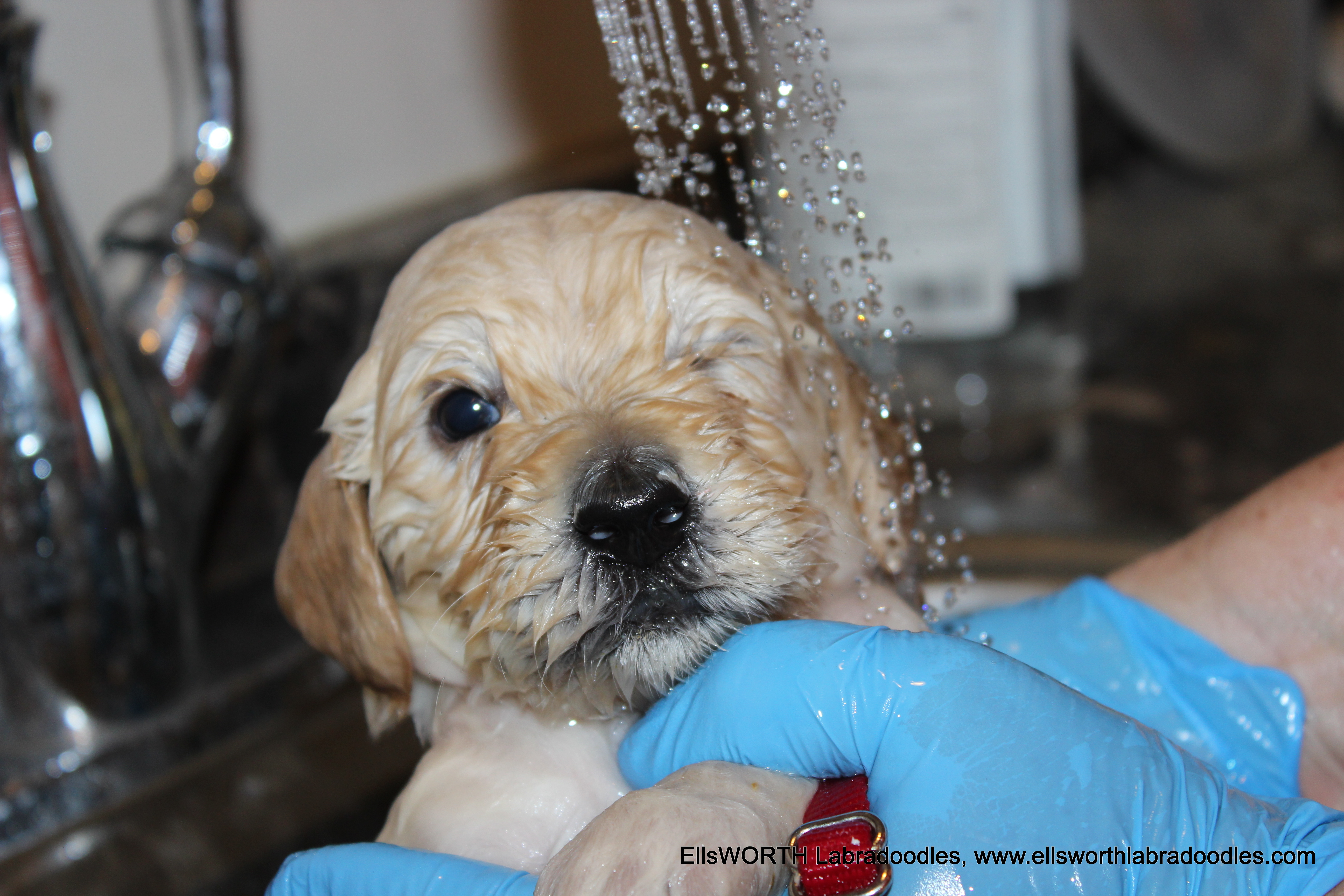 bathtime