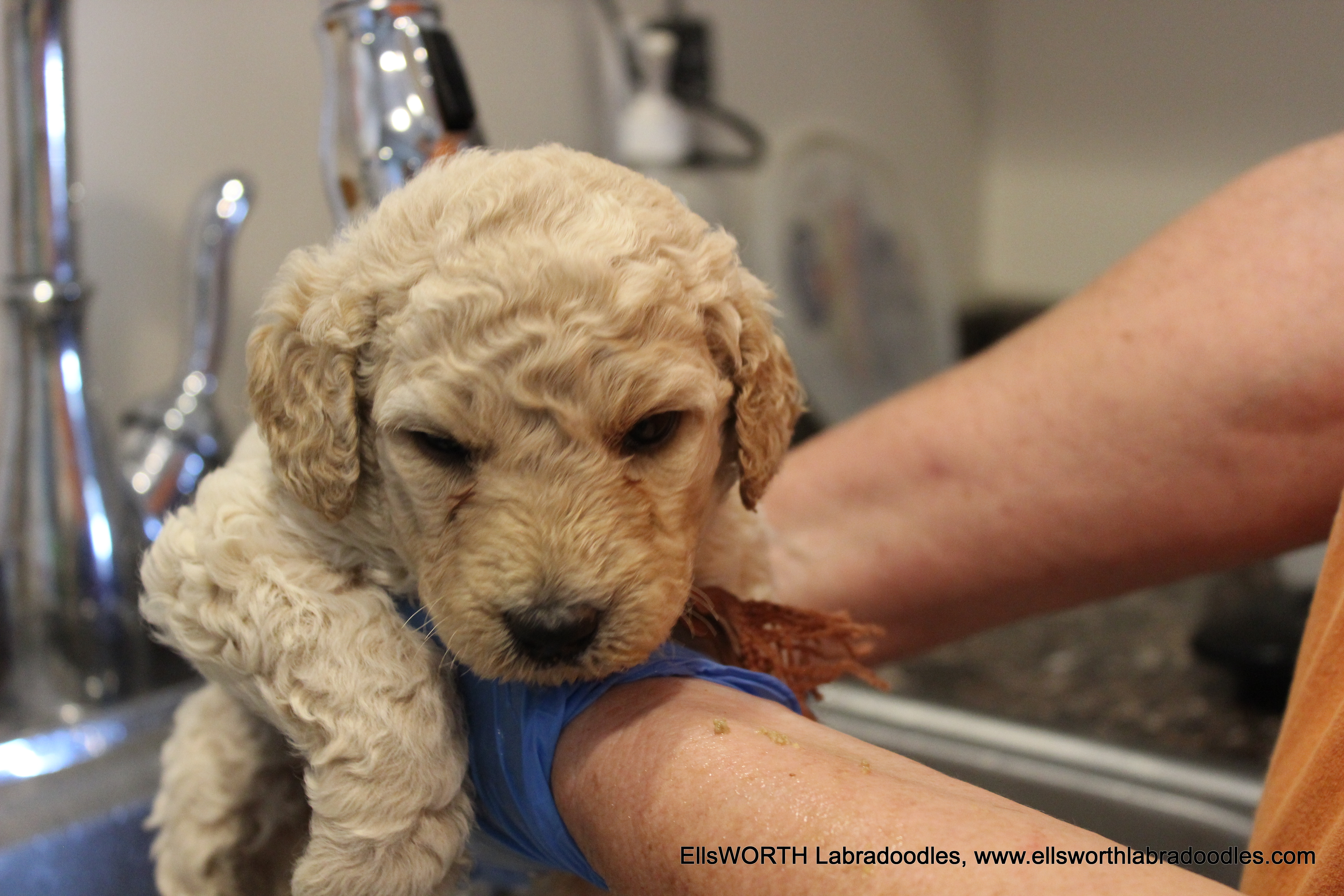 he liked is bath