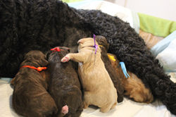 on so cute