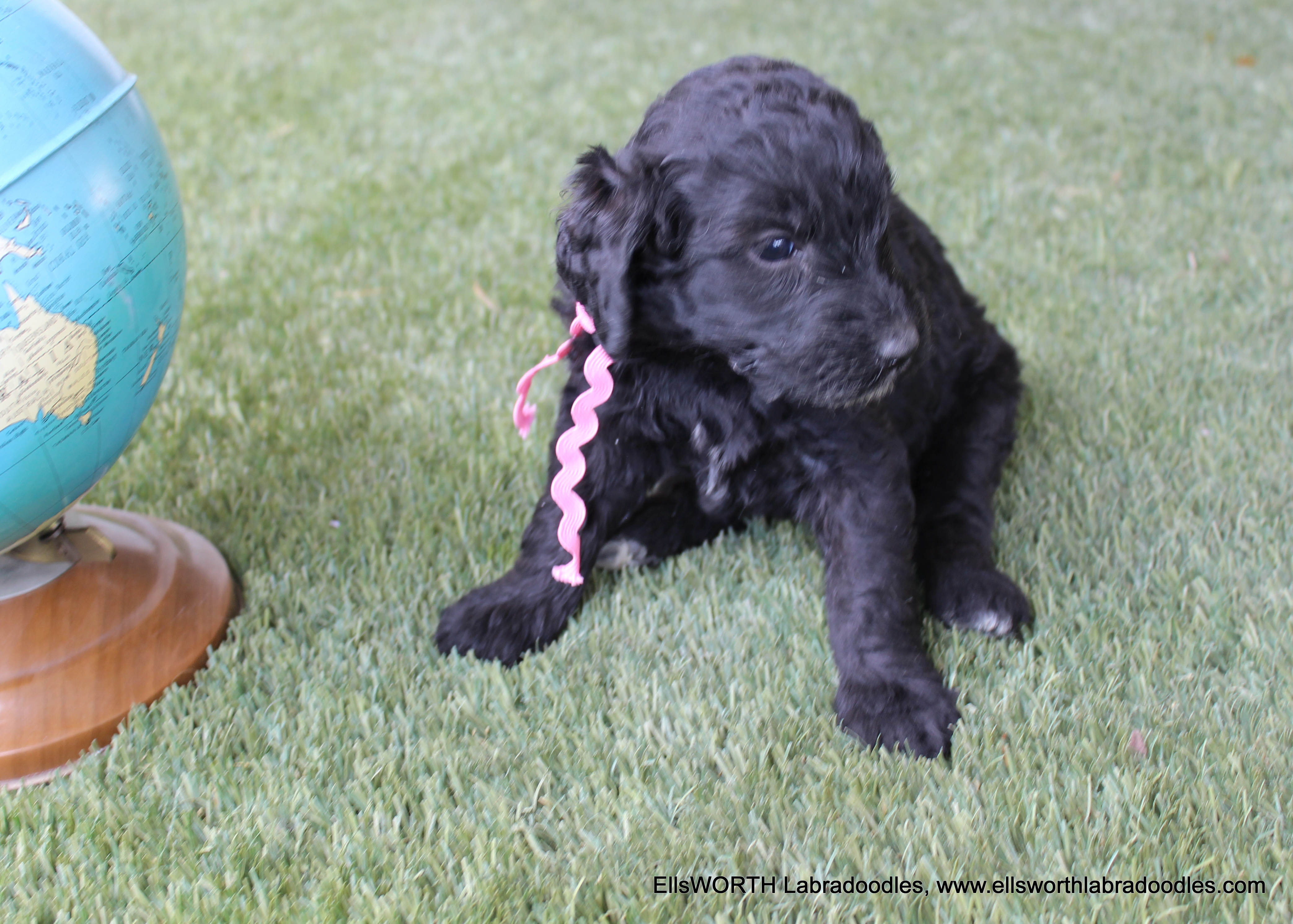 growing up fast!