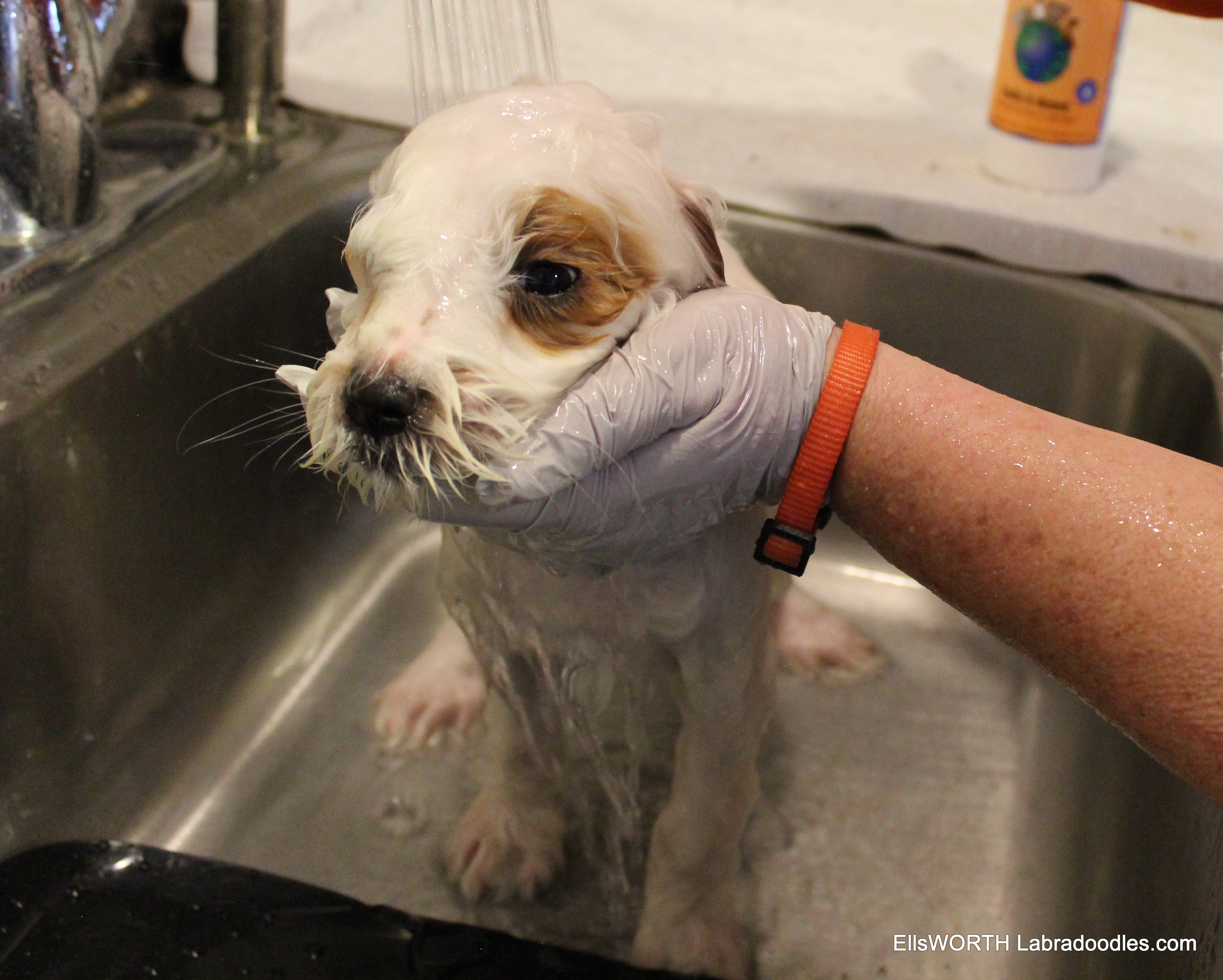 bath time is great
