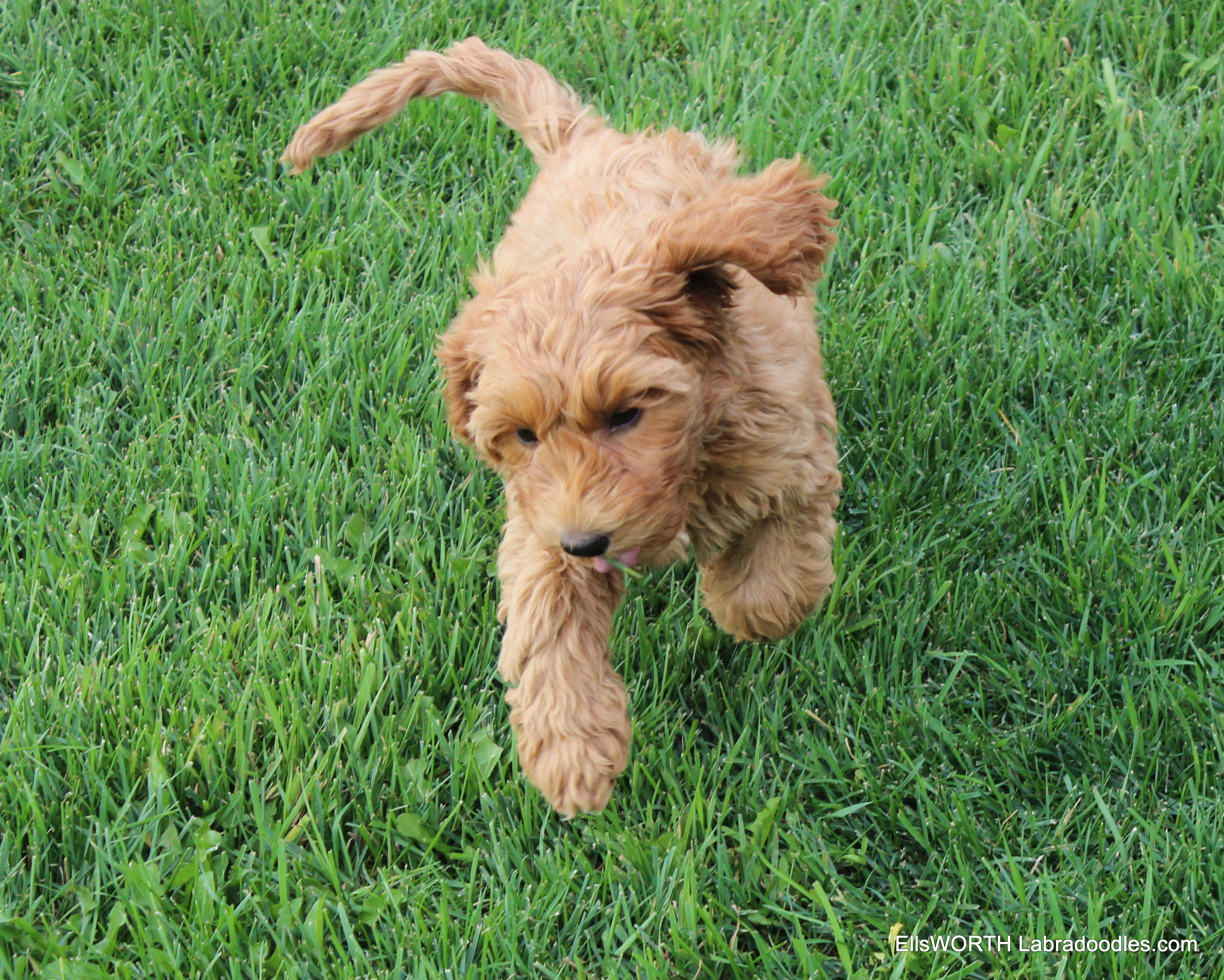 she is one of the quickest at