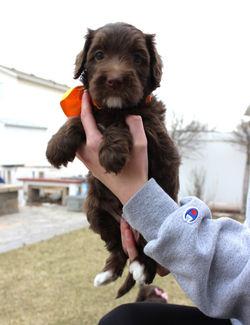 she has a little longer muzzle than the other puppies