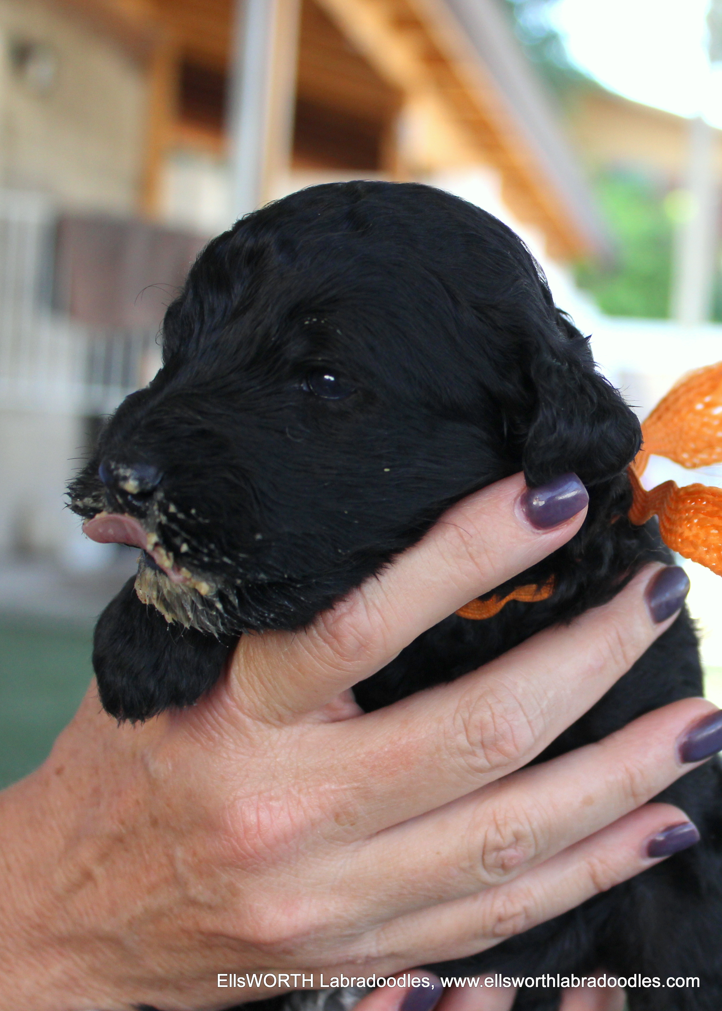 learning to eat can be messy