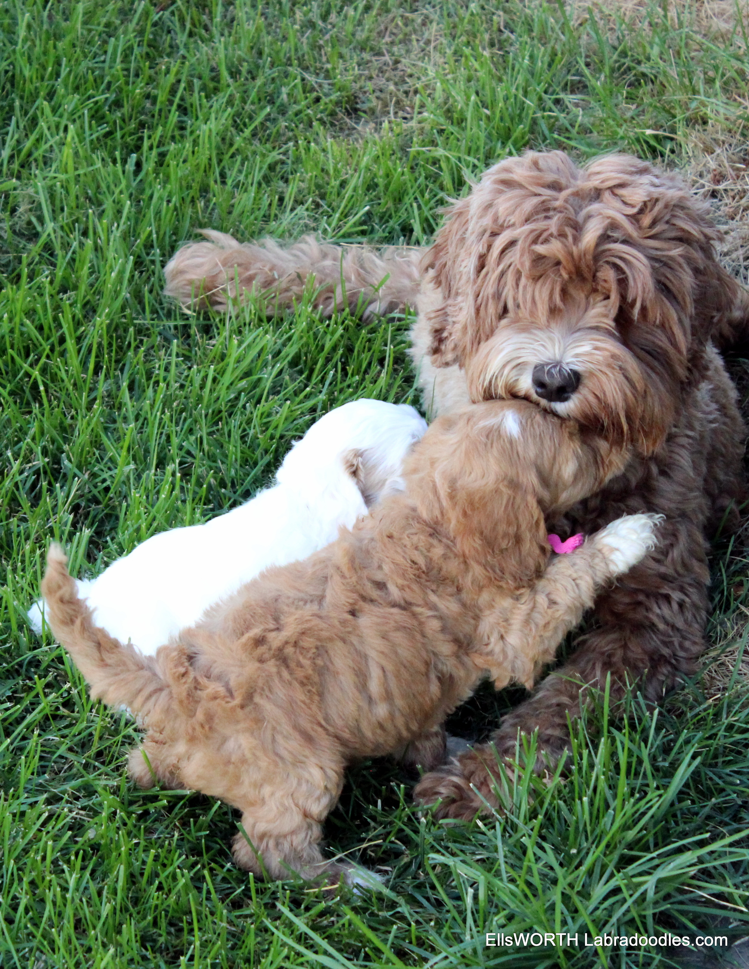 loving her Mama