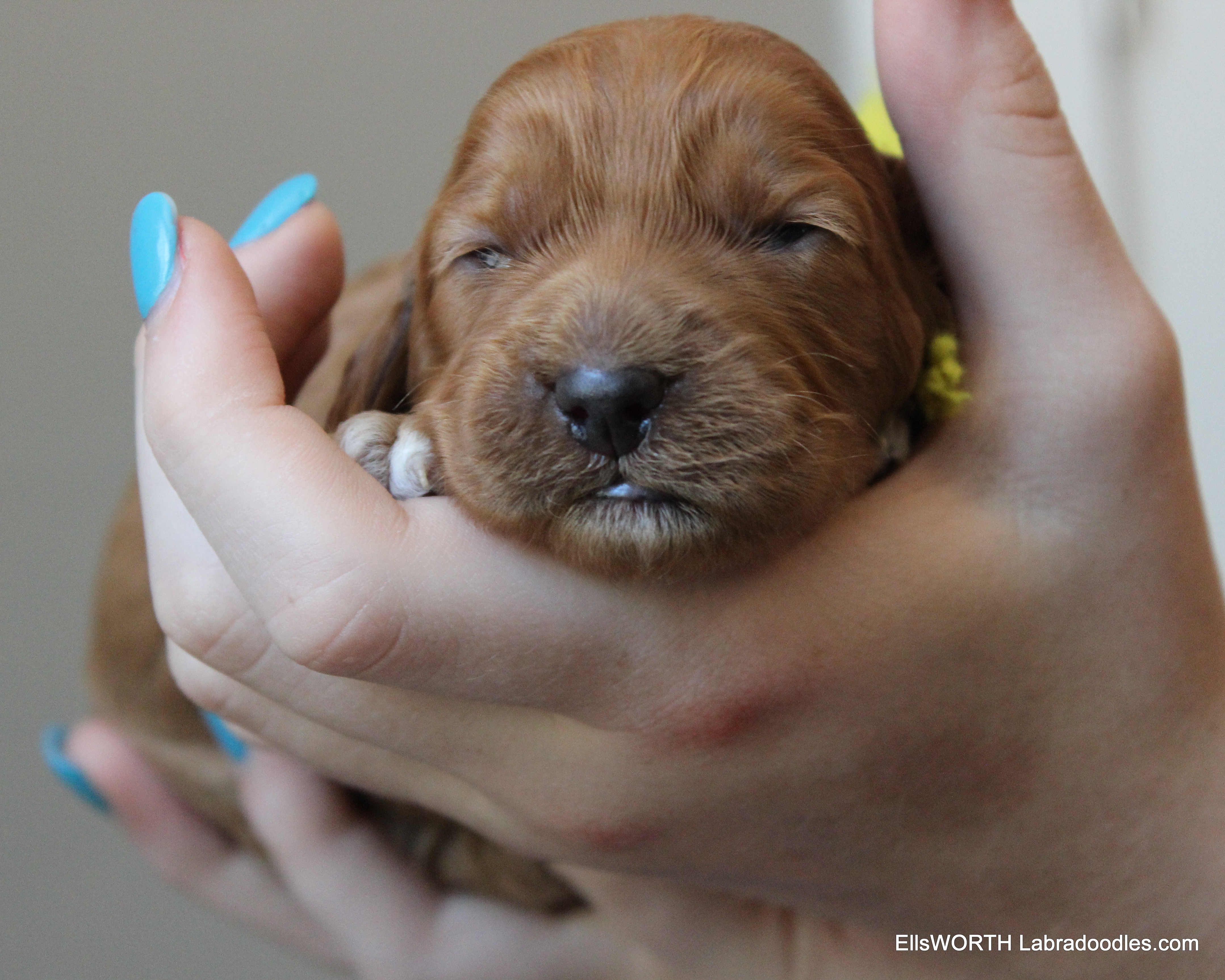 oh see her little eyes are opening