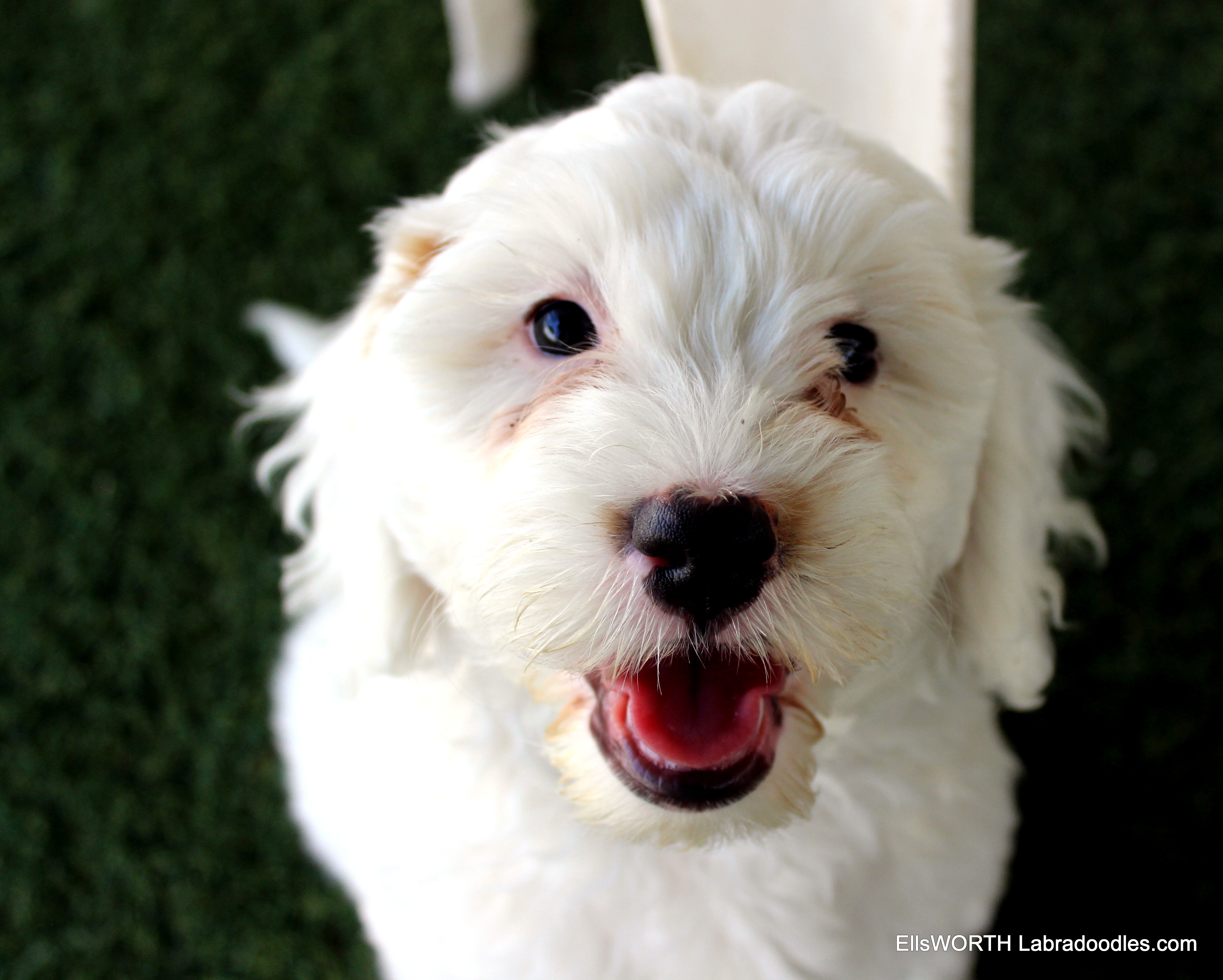Such a sweetheart!