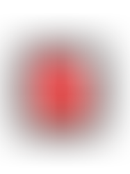 ບົດແນະນຳກ່ຽວກັບການຈັດຕັ້ງປະຕິບັດແຜນພັດທະນາເສດຖະກິດສັງຄົມ ແລະ ແຜນການລົງທຶນຂອງລັດປີ 2020