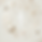 site web human design (2).png