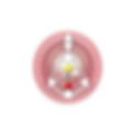 site web (12).png