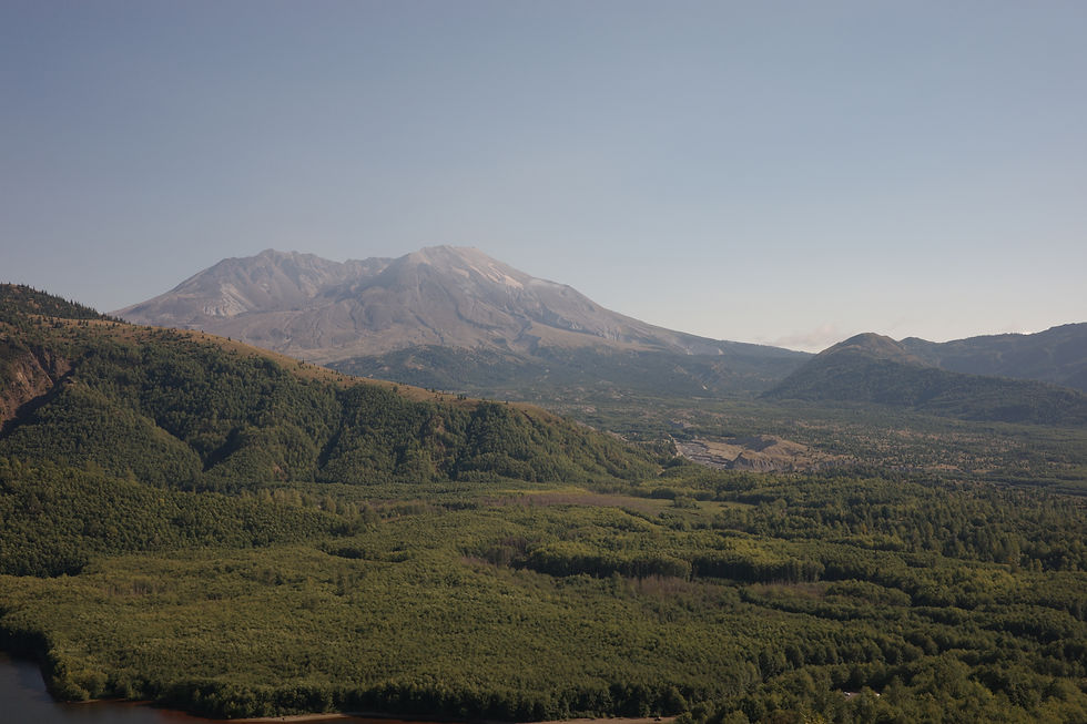45年前に大噴火で頂上が吹き飛んだ、Mt.セントへレンズ。 手前に広がるのは人々の努力によって取り戻した美しい人工林