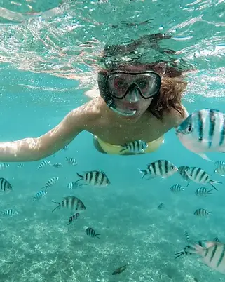 Guided shore snorkeling tour in San Juan, Puerto Rico, featuring tropical sea turtles and colorful fish in clear ocean water.