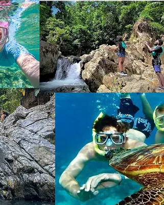 RAINFOREST-SNORKLING-COLLAGE.webp