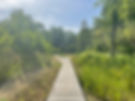 image00017.jpeg