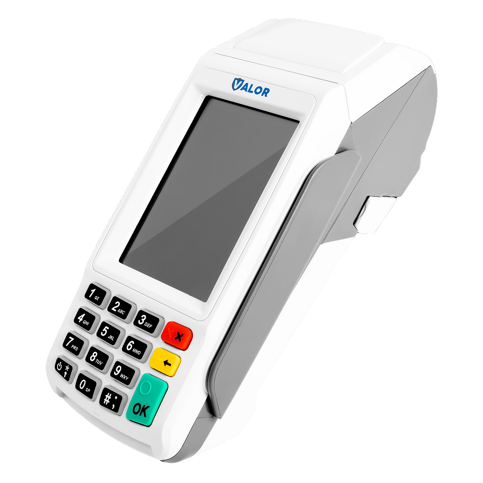 Valor VL 100