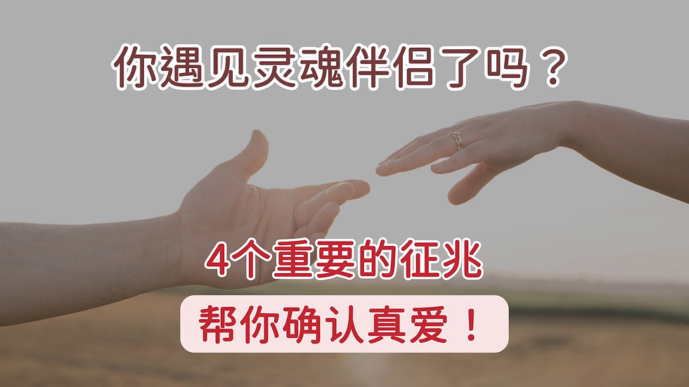 灵魂伴侣, 澳大利亚真实交友平台