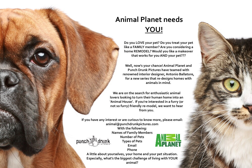Animal Planet Is Looking For You