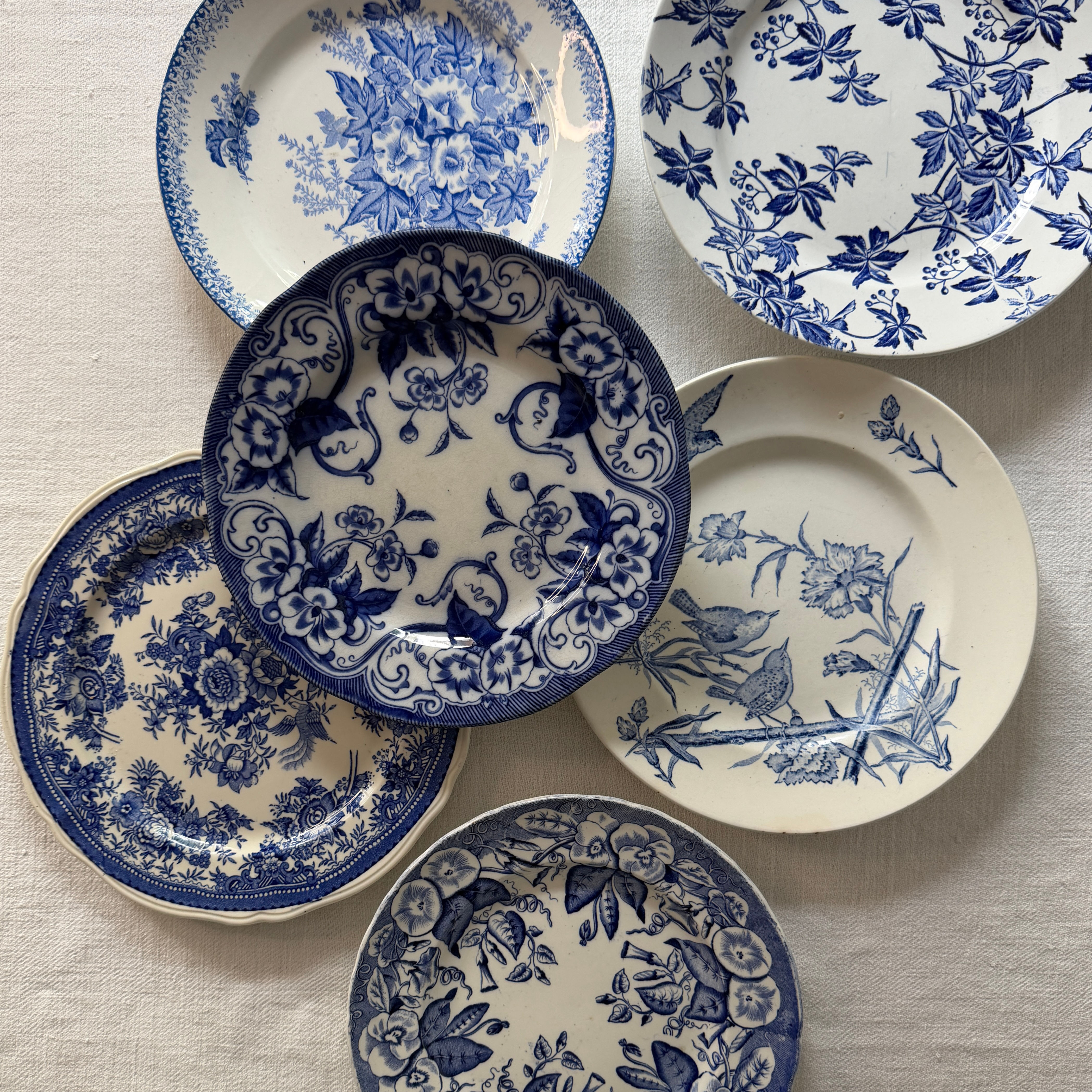 BÉLANIE | Composition 6 Assiettes Plates