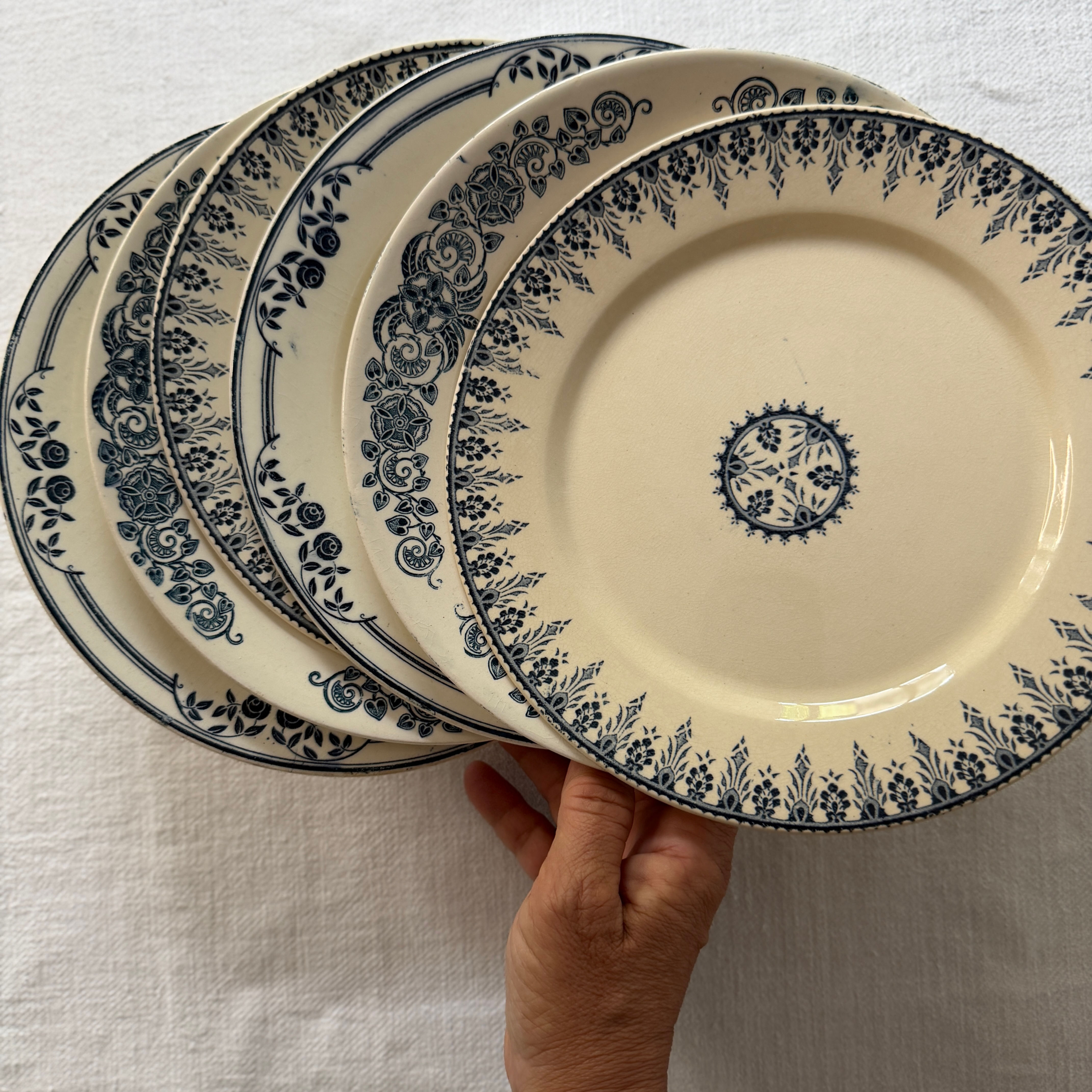 BELLINE | Composition 6 Assiettes Plates