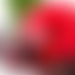 5 incredible Drinks you need Right Now