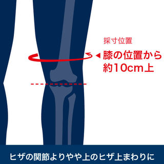 コウノエベルト膝用