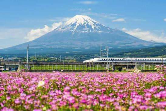 Photo of a Shinkansen high-speed train zipping past Mt. Fuji (copied from internet)
