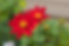 AdobeStock_166890331.jpeg