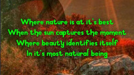 Nature Teaches Us