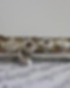 Flute