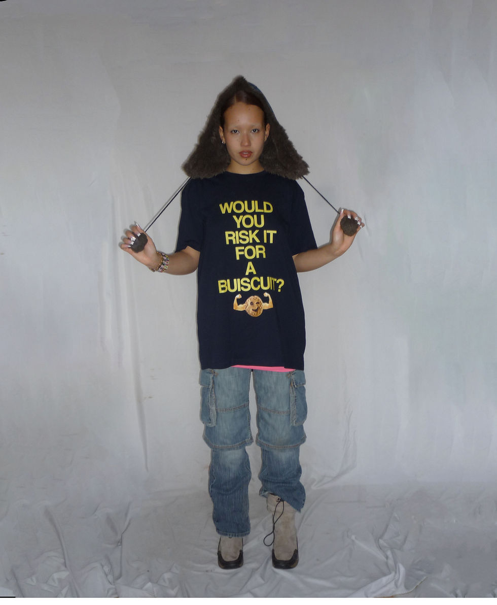 Thumbnail: "Would you risk it for a biscuit" t-shirt