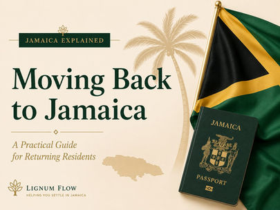 Moving back to Jamaica guide for returning residents with luggage, household boxes and a Jamaica home illustration.