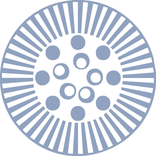 ffb_202_burst-grey.png