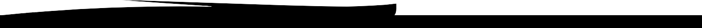 footer_swoosh.png