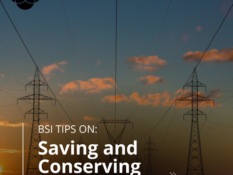 Tips from the BSI Team on Saving and Conserving Energy