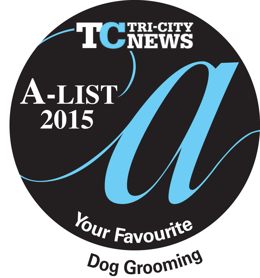 A-List_2015_Dog-Grooming.gif