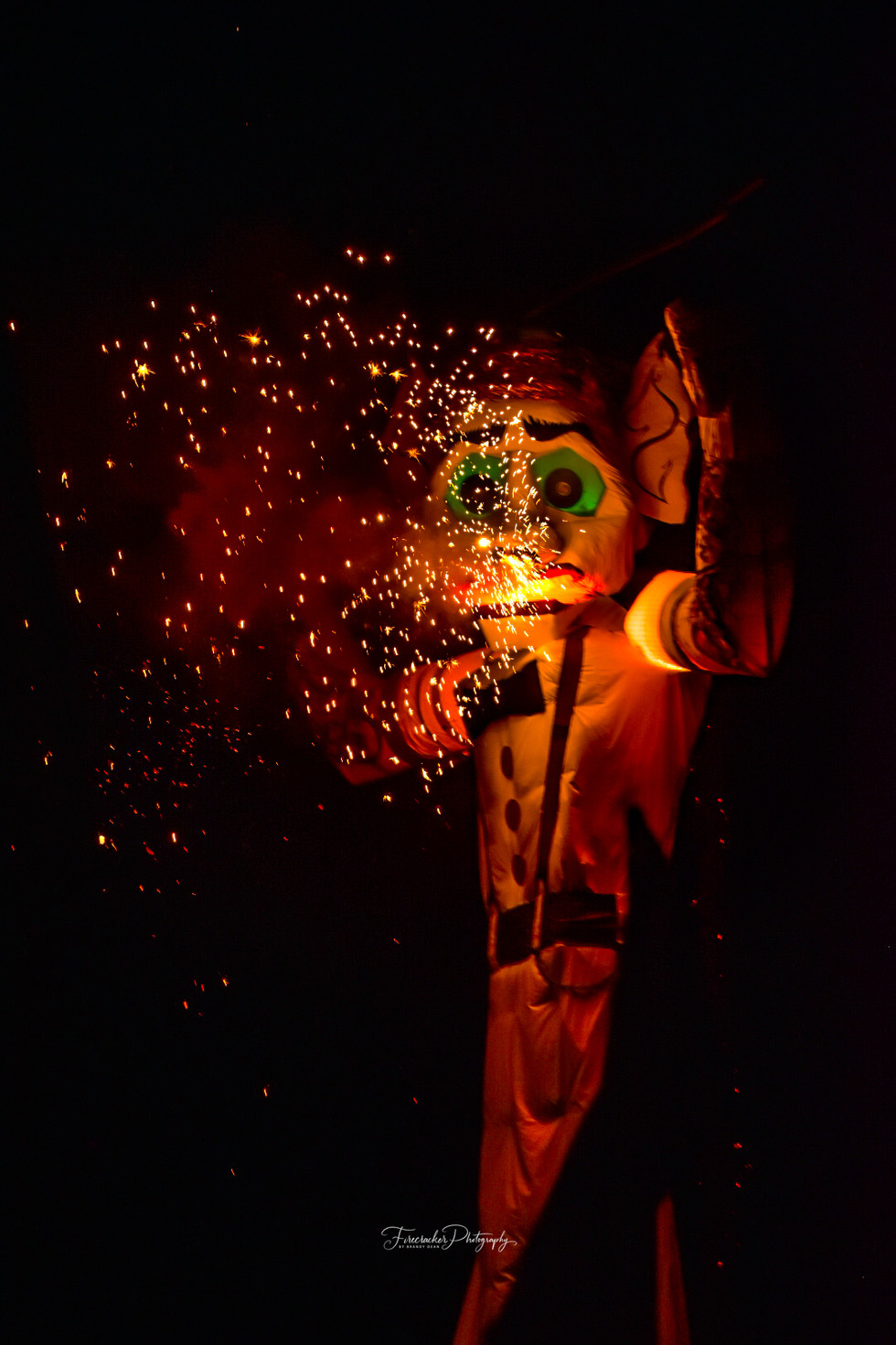 DSC_0486.jpg