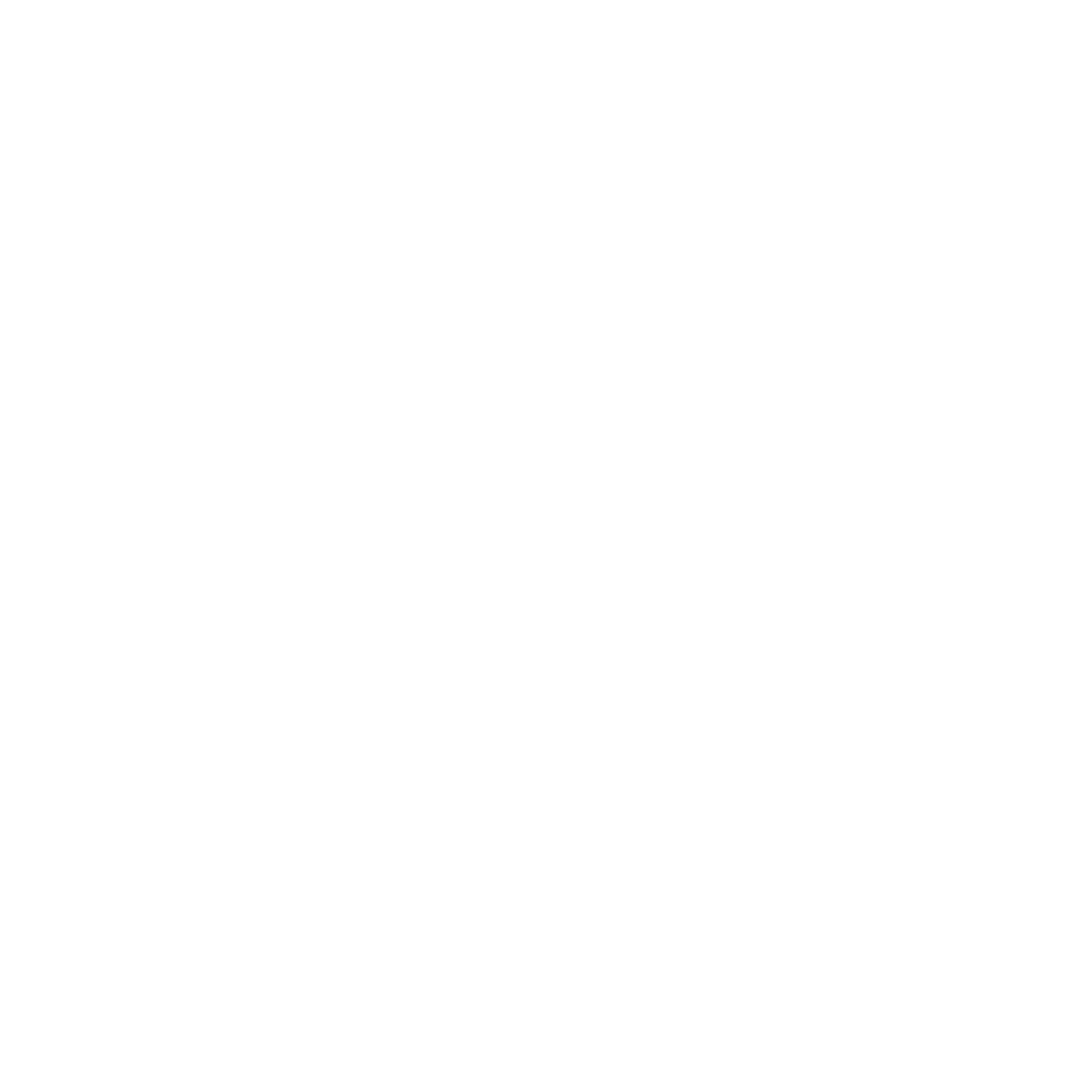 bitnip_white_logo.png