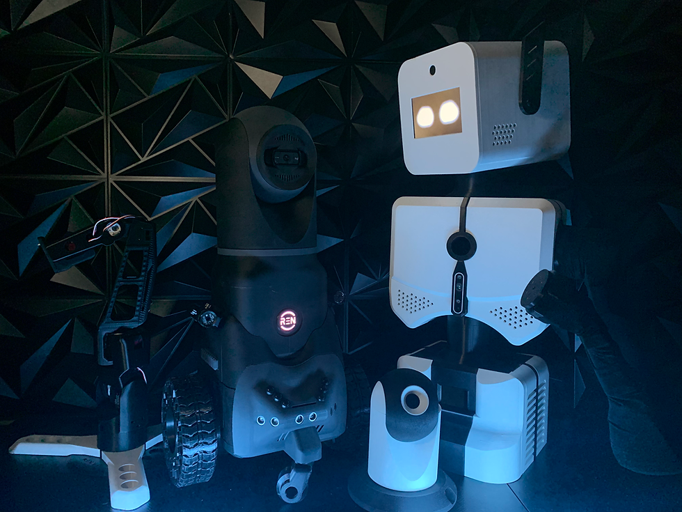 R.E.N. from Bitforge Dynamics, Prototypes