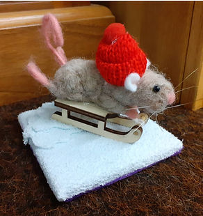 Ski mouse.jpeg
