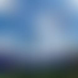 Kings Island to hire online for more than 4,000 jobs