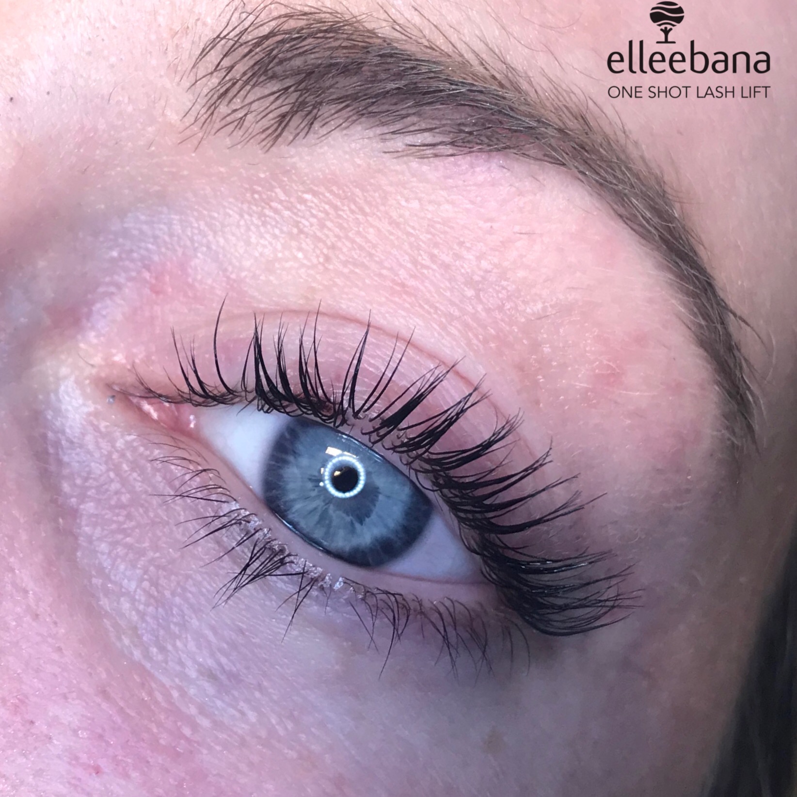 Lash Lift