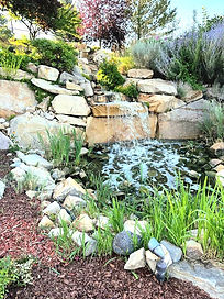 IMG_20240109_114054 (2).jpg