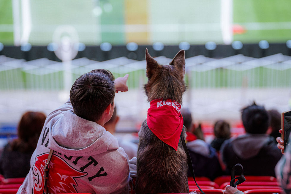 Un homme à un match de foot avec son chien