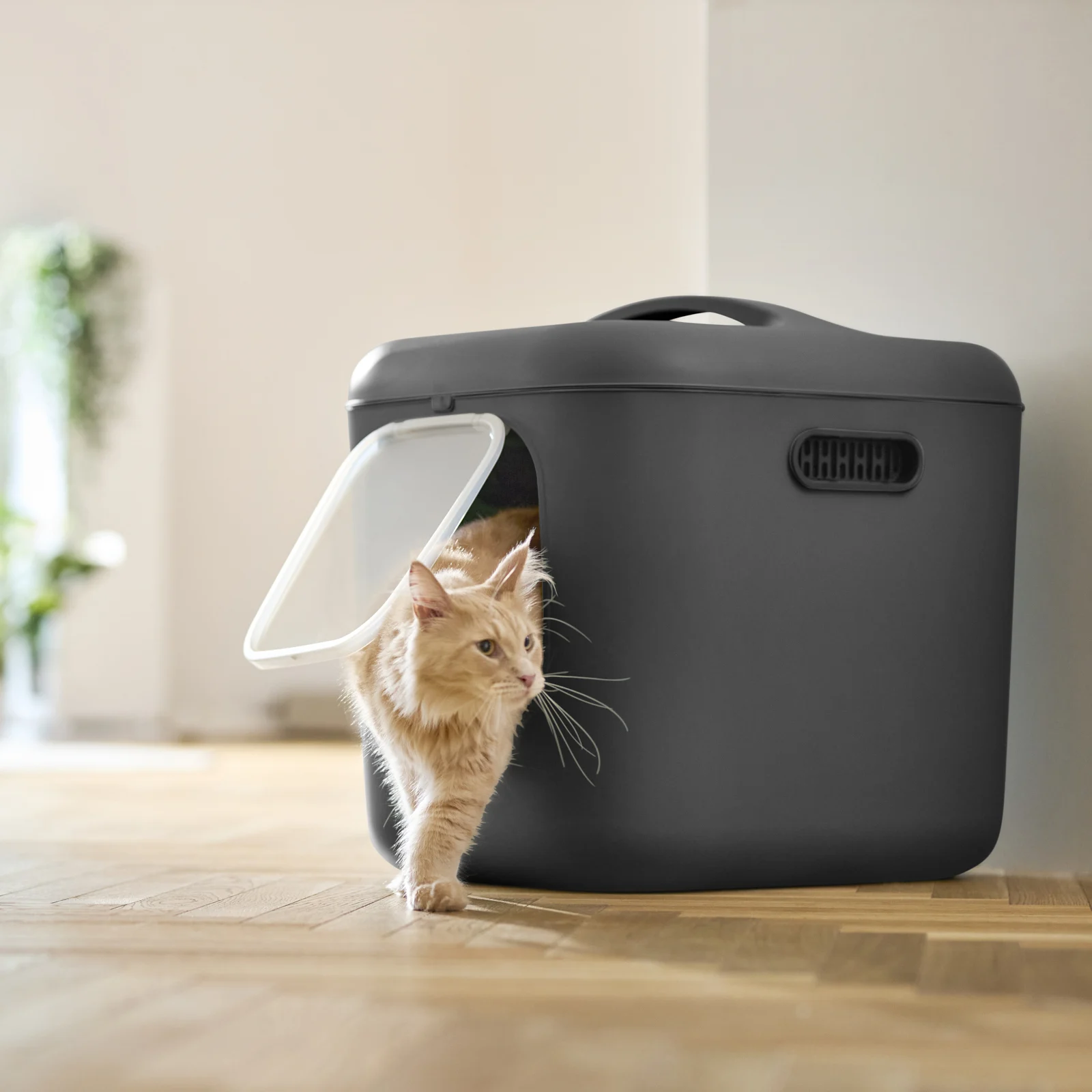 Maison de toilette avec filtre Rotho Biala XL 70,99€