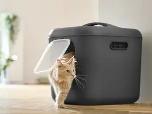 Quelle litière pour chat choisir ?