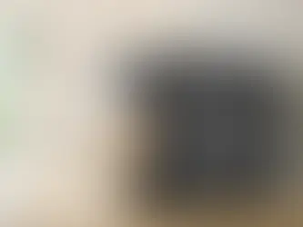 Quelle litière pour chat choisir ?